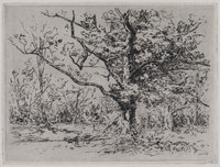 KG 08919
<br/>
Landschap met eik
<br/>
<em>Storm van 's-Gravesande, Carel Nicolaas (1841-1924)</em>
